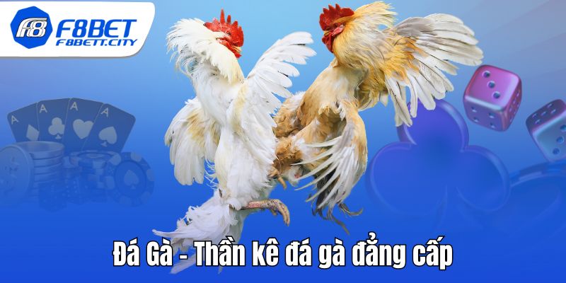 Đá Gà - Thần kê đá gà đẳng cấp