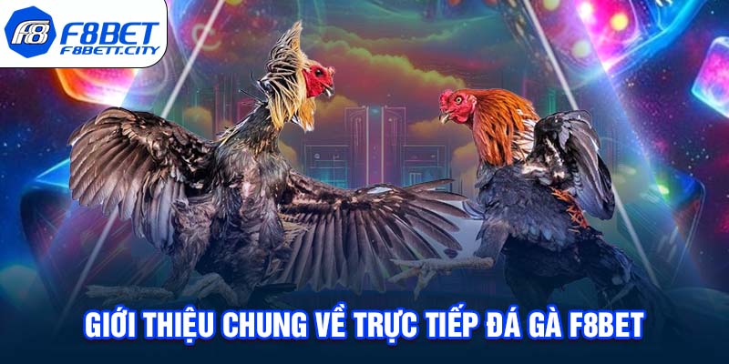 Giới thiệu chung về trực tiếp đá gà F8BET