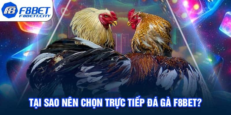 Tại sao nên chọn trực tiếp đá gà F8BET?