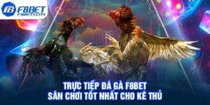 Trực Tiếp Đá Gà F8BET - Sân Chơi Tốt Nhất Cho Kê Thủ